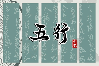 男双胞胎取名|起名社免费起名|名人五行起名|测八字起名字|男孩叶取名字