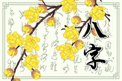 流年运势:动态视角