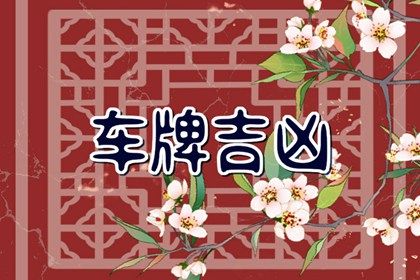 车牌吉凶看什么