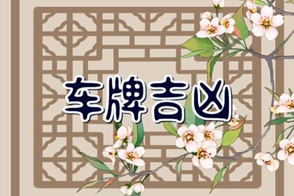 如何读本页结果