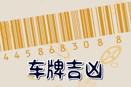 数字化号码参考用法