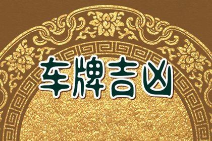数理分如何理解