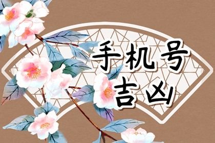 五行与选号