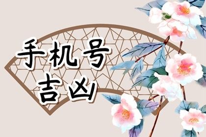 81 数理简介