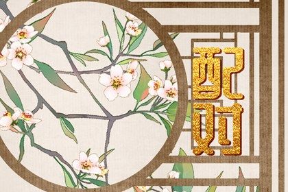 三合六合六冲在生活中的投射
