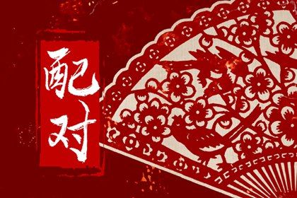 672车牌号打分_车牌号测算免费_测试车牌号吉凶查询_车牌号打分测试