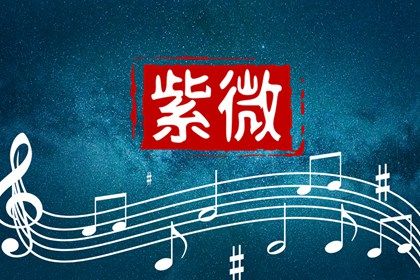 在线排盘看什么