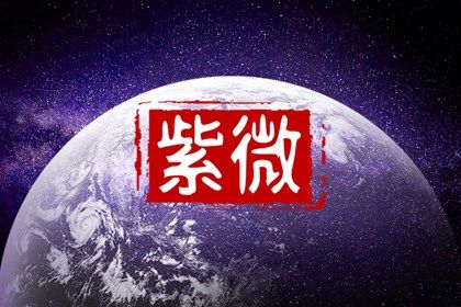 在线紫微查询怎么看