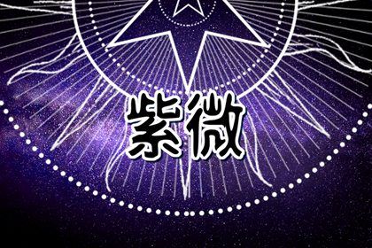 在线紫微查询怎么看