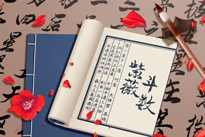 在线排盘看什么